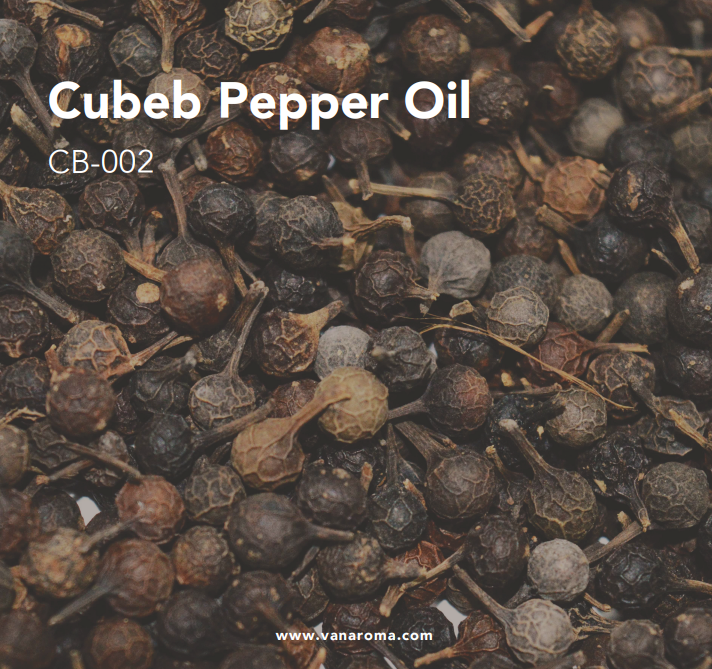 Cubeb Pepper - Solid Black Seeds | Pungent Aroma, Culinary Spice and Essential Oil for Fragrance in Cosmetics