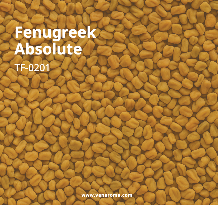 Fenugreek Absolute (TF-0201)