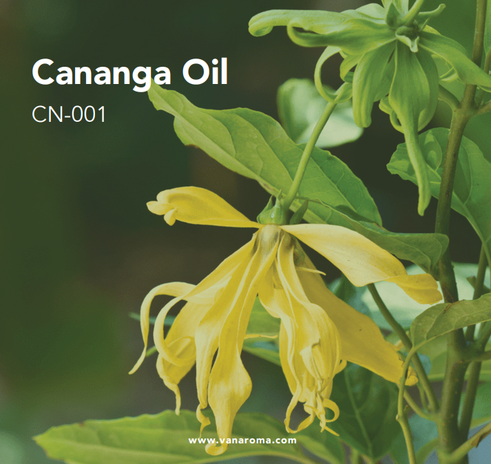 Cananga Oil (CN-001) Van Aroma