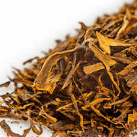Madura Extract
