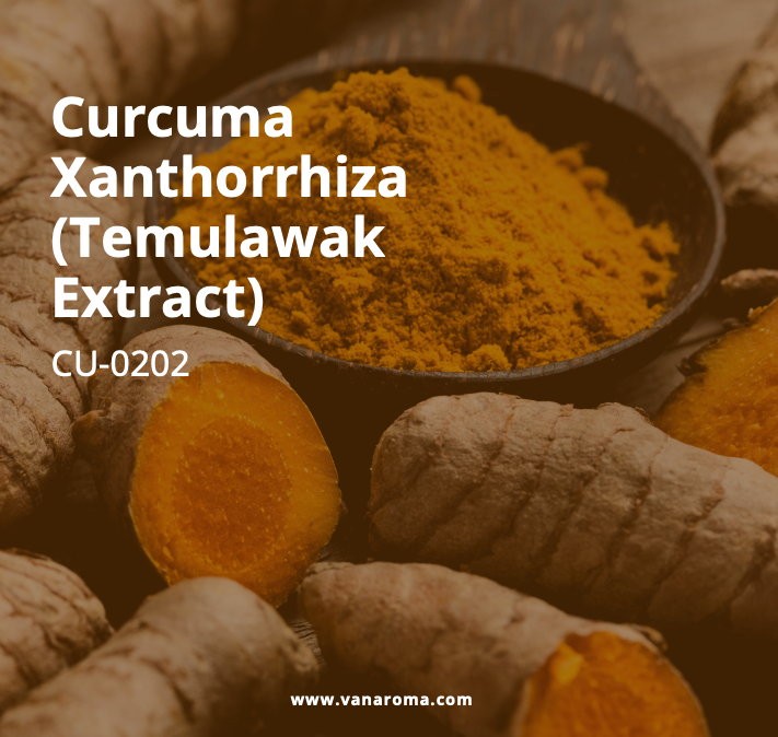 Temulawak Curcuma - Color: Yellow