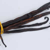 Vanilla Extract
