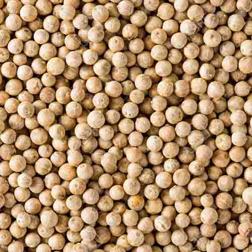 White Pepper - Solid Round Seed, Ivory White Color, High Grade, 3-Month Shelf Life, Natural Taste for Culinary Applications