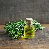 Calamus Oil