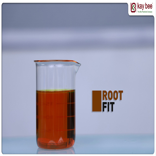Root Fit