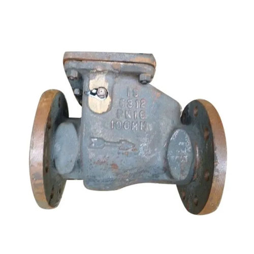 Stainless Steel Non Return Valve