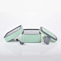 DOUBLE-LAYER PORTABLE LUNCH BOX(2837A)