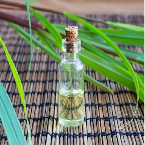 Citronella Oil