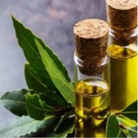 Croton Oil - Glass Bottle, 10ml Volume, Yellow Color | Aromatherapy, Calming Scent, Natural Oil, Pure Extract, Stress Relief