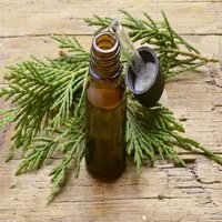 Cypress Oil