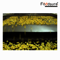 Breakfast Cereals Plant Consultancy Service