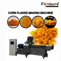 Breakfast Cereals Plant Consultancy Service