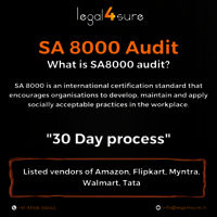 Sa 8000 Audit