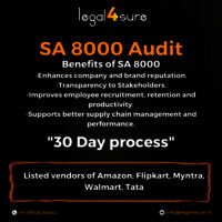 Sa 8000 Audit