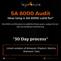 Sa 8000 Audit