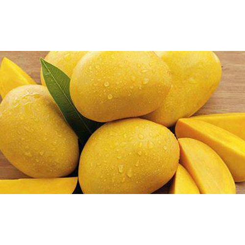 Fresh Yellow Mango - Whole Fruit, Common Cultivation, Sweet Taste, Non Glutinous Delight | Perfect for Snacking and Culinary Creations