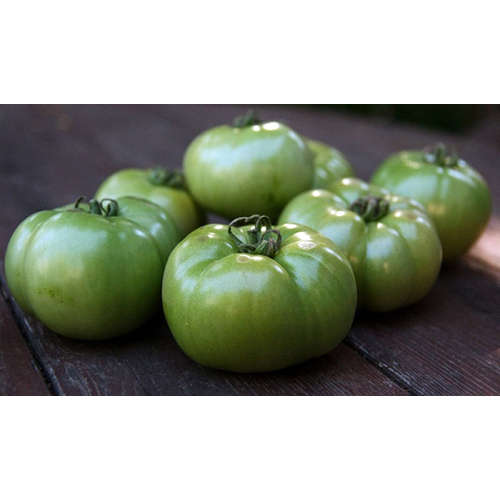 Fresh Green Tomato Moisture (%): Nil