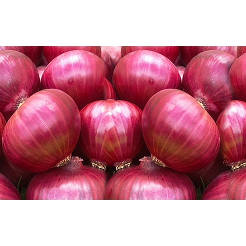 Fresh Red Onion - Raw, Fresh Style | Moisture-Free for Enhanced Crispiness