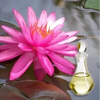 Lotus Essential Oil - 100% Pure, Therapeutic Grade | Aromatherapy, Stress Relief, Calming Fragrance