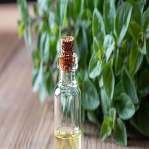 Oregano Oil