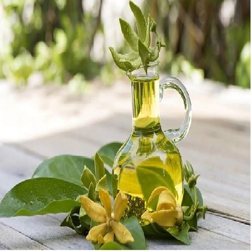 Ylang Ylang Oil