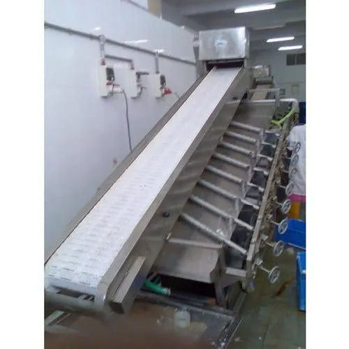 Fish Grading Conveyor