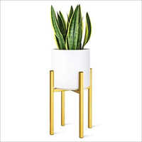 Metal Plant Stand - Solid Metal, Golden Color, Antique Design | Sturdy & Minimalist, Ideal Gift For Home Decoration
