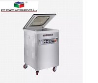 PIC-500/2E SINGLE CHAMBER VACUUM PACKING MACHINE