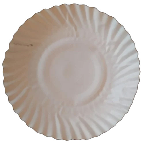 Disposable White Paper Plate