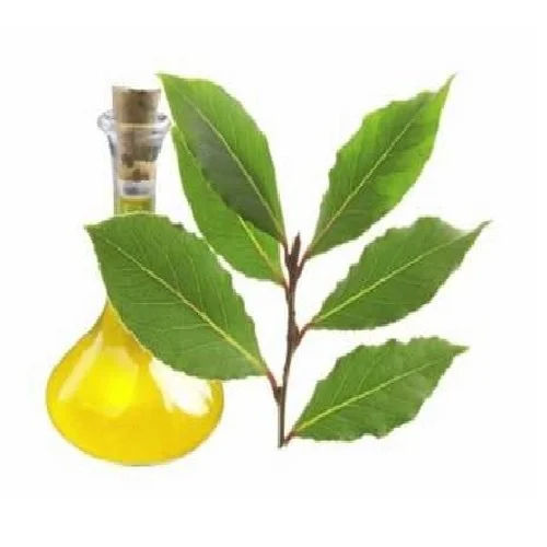 Bay Leaf Essential Oil