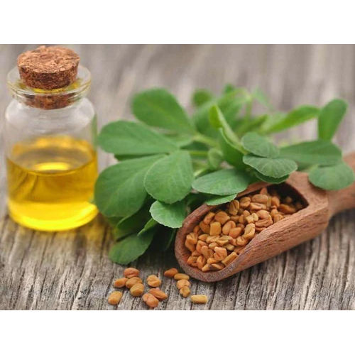 Fenugreek Essential Oil