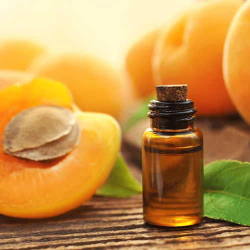 Common Cold Pressed Apricot Oil