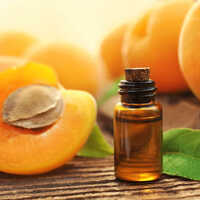 Cold Pressed Apricot Oil