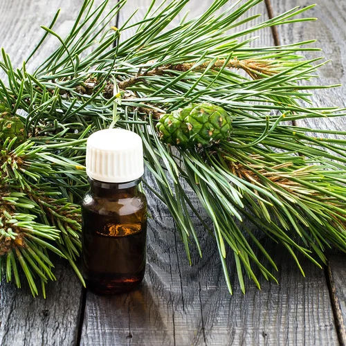 Common Cold Press Pine Oil