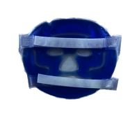 Gel Face Mask