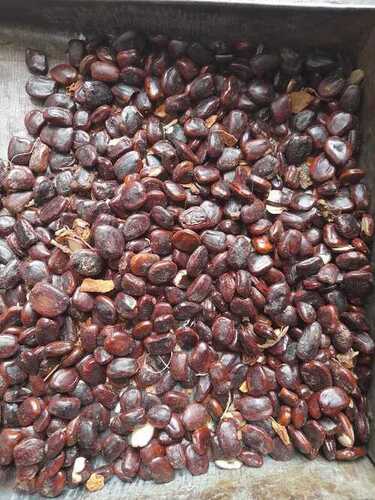 Brown Tamarind Seed