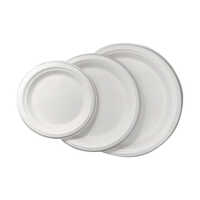 Sugarcane Bagasse Plate - Premium Quality, Various Sizes Available, White Color - Thermal Resistant, Eco-friendly Biodegradable Food Packaging