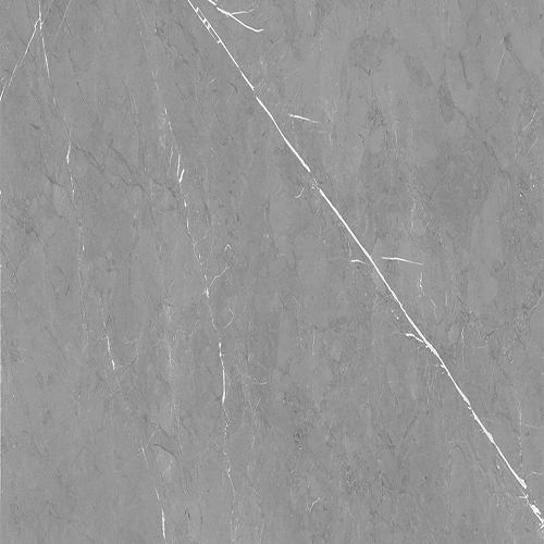 Spider Gray R1