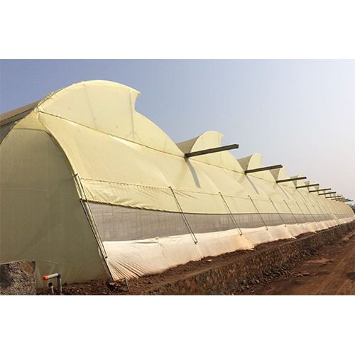 Commercial Ventilated Greenhouse