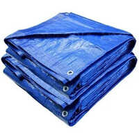 Blue Plastic Tarpaulin