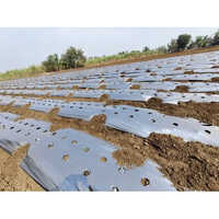 LDPE Mulching Paper