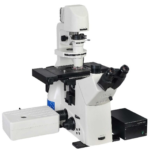 Confocal Microscope Application: Fluorescence Imaging In The Life Sciences