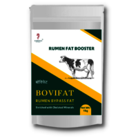 Rumen Bypass Fat Ingredients: Plant Extract