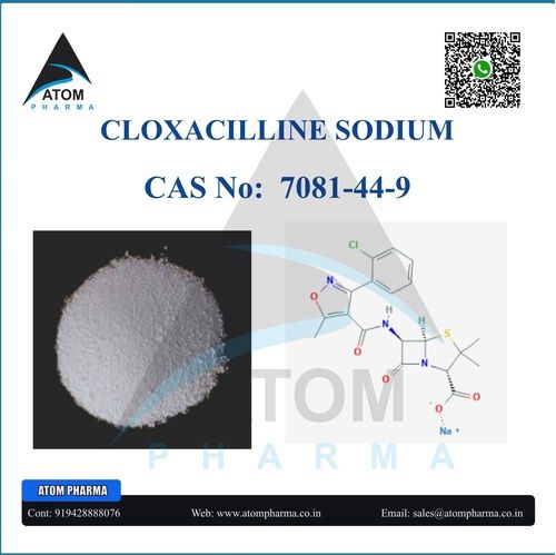 Cloxacilline Sodium Api Powder Cas No: 7081-44-9