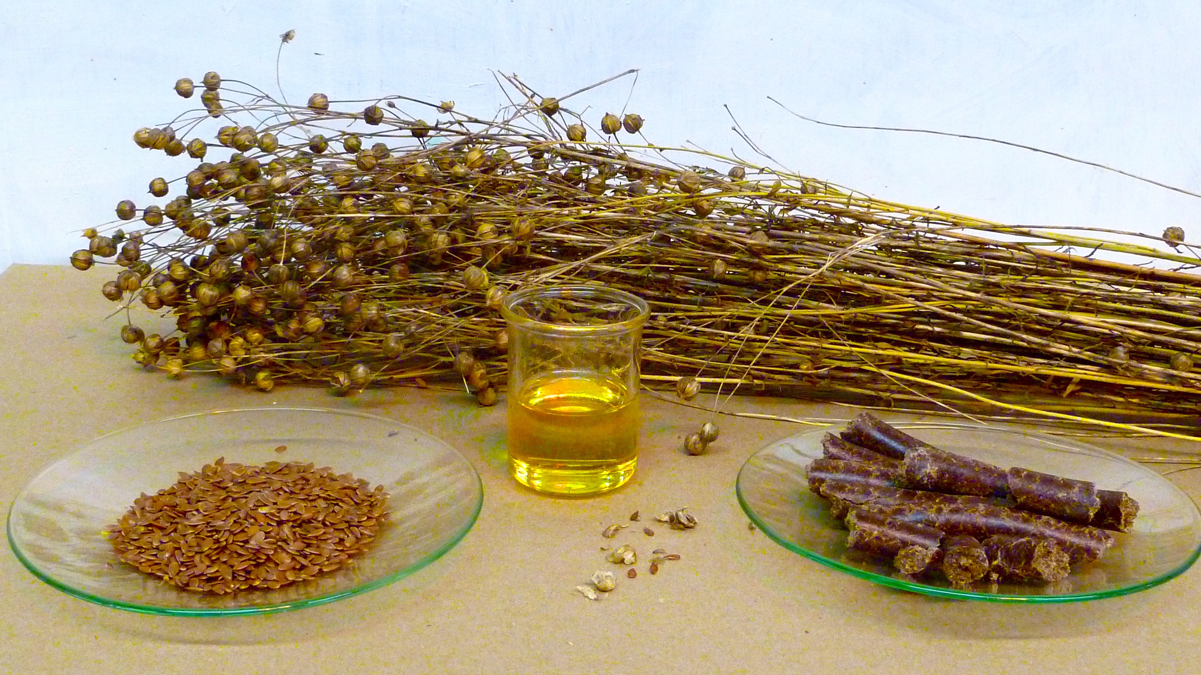 Linseed Oil