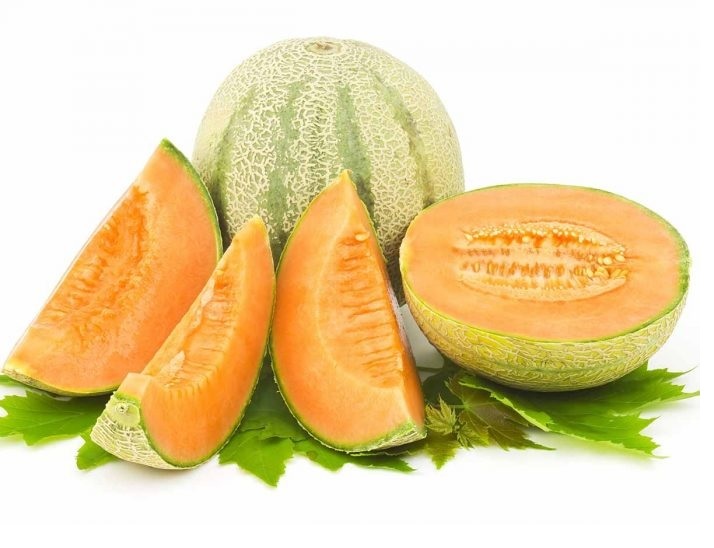 Musk Melon Oil