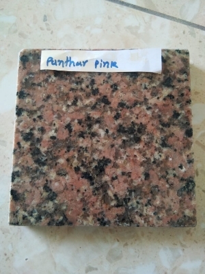 Panther pink