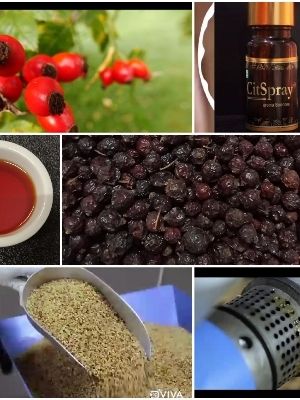 Rosehip Oil Ingredients: Herbal Extract