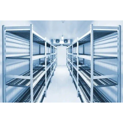 Silver Fully Automatic Vegetable Cold Storage