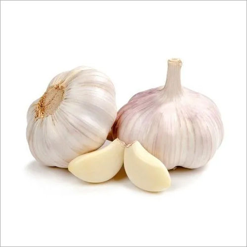 Canned Fresh Garlic